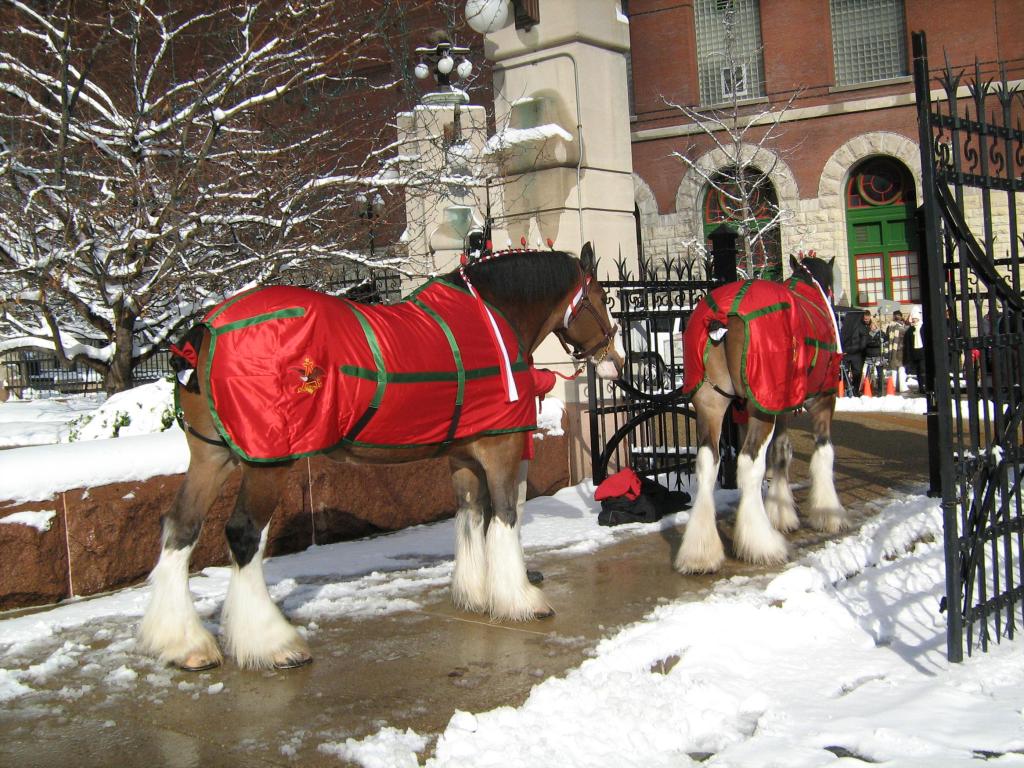 We can scout and get into some great locations